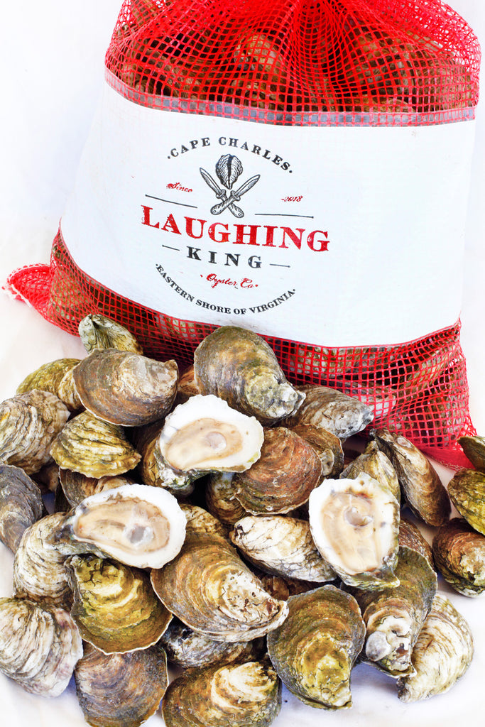 Laughing King Oysters (50 ct)