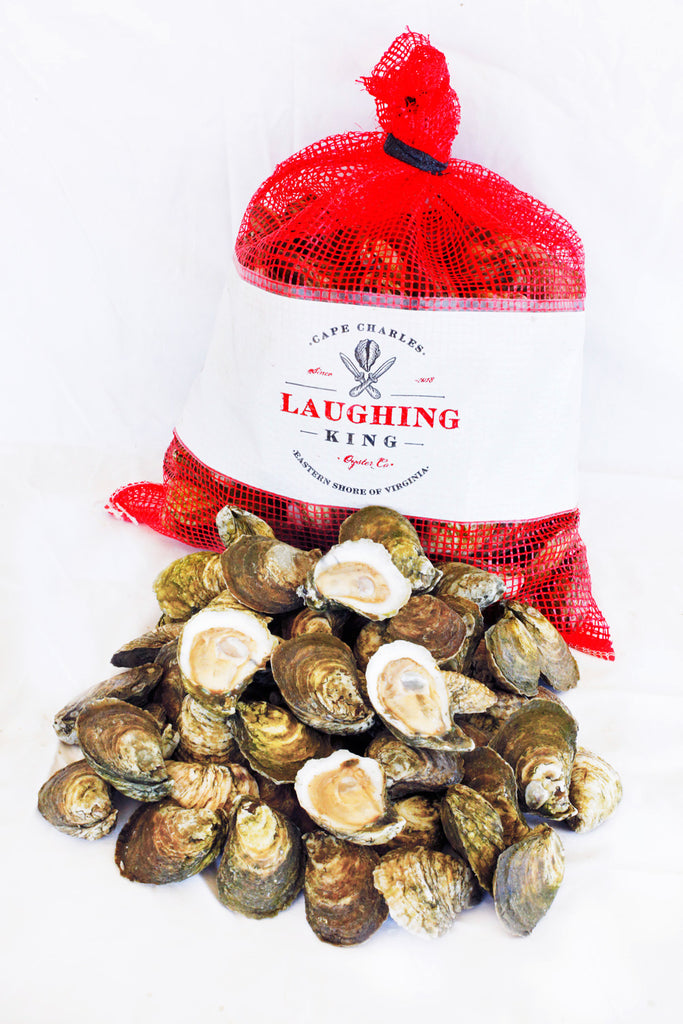 Laughing King Oysters (100 ct)